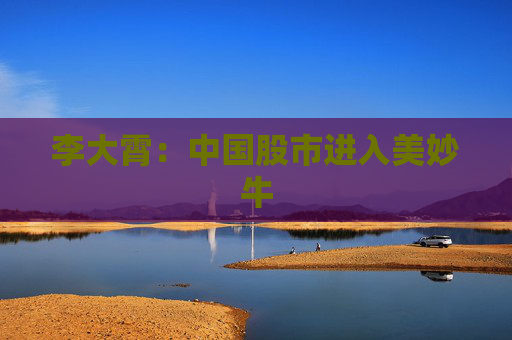 李大霄：中国股市进入美妙牛