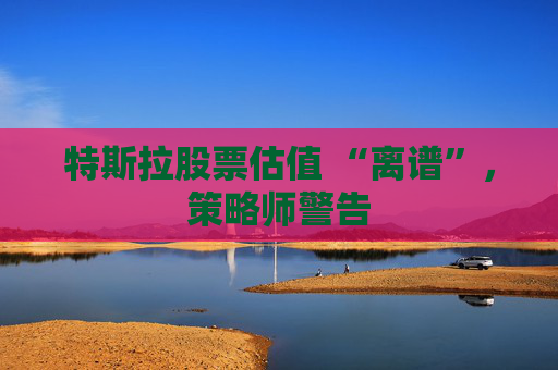 特斯拉股票估值 “离谱”，策略师警告