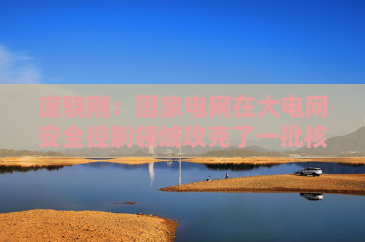 庞骁刚：国家电网在大电网安全控制领域攻克了一批核心技术