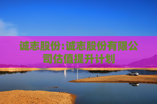 诚志股份:诚志股份有限公司估值提升计划