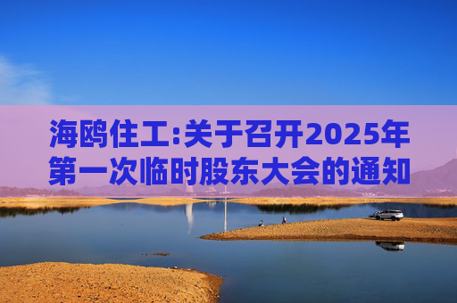 海鸥住工:关于召开2025年第一次临时股东大会的通知