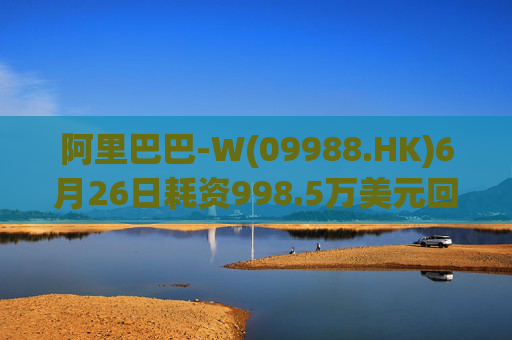 阿里巴巴-W(09988.HK)6月26日耗资998.5万美元回购70.2万股