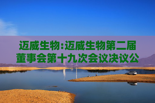 迈威生物:迈威生物第二届董事会第十九次会议决议公告