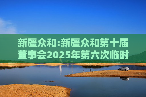 新疆众和:新疆众和第十届董事会2025年第六次临时会议决议公告