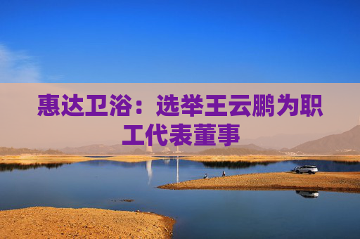 惠达卫浴:选举王云鹏为职工代表董事