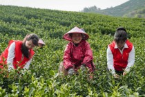 一针一线编织“兴农”锦绣――浙江稠州商业银行躬耕乡村赋能共富纪实