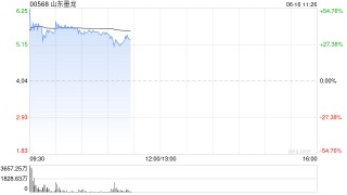 山东墨龙盘中涨超40% 上一交易日飙升逾75%