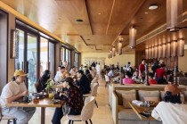 梵高博物馆中国游客占比90%，国外景点、餐厅全是中国人，春节预计超1800万人出入境