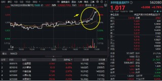 沪深300放量翘尾，国家队叒出手？中字头“现金牛”强势助攻，300现金流ETF又跑赢！