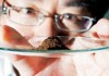 如何理解稀土价格现象？什么因素操纵着稀土价格？