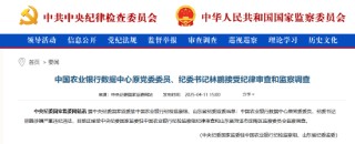 农业银行数据中心原党委委员、纪委书记林鹏被查