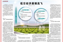 人民日报深度观察：低空经济展翅高飞