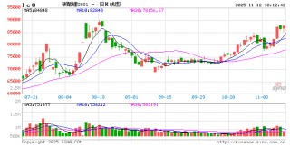 碳酸锂现货价格承压，关注后续消费持续性