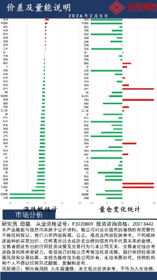 中天策略:2月5日市场分析