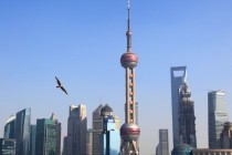 “光PPT就做了上百页”！上海三大产业先导基金再出手17只子基金