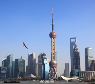 “光PPT就做了上百页”！上海三大产业先导基金再出手17只子基金