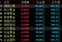 贵金属板块，全线上涨