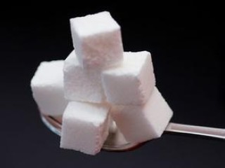 如何查看白糖期权行情？期权合约交易的原因是什么？