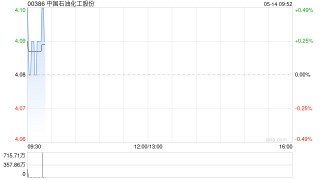 中国石油化工股份控股股东发行77.5亿港元可换股债券