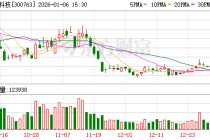 锦浪科技：公司已将储能系统整体优化作为核心战略方向