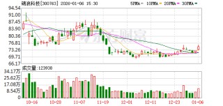 锦浪科技：公司已将储能系统整体优化作为核心战略方向