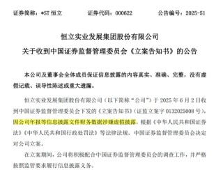 退市不免责！涉财务造假，恒立实业及19人被重罚