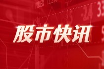 朗科智能：公司无刷电机相关产品主要以电机控制系统为主，无刷电机整机产品的收入占比很小