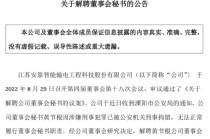 敲诈勒索未遂被判7年：安靠智电前董秘黄节根获刑，曾任国泰君安证券分析师