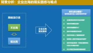 中国联合国采购促进会宋嘉：企业出海是一种战略选择