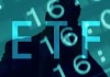 如何确定期权的权利金数额？这一数额的确定依据是什么？