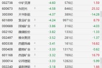 A股异动丨锂矿股集体下跌，赣锋锂业、中矿资源跌超4%