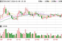 依依股份：公司不存在逾期担保