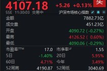 特高压概念爆发，沪指半日微涨0.13%