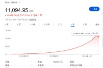 最牛的AI股在印度