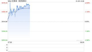 金银创纪录飙升 全球货币体系或生变局