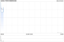 华新手袋国际控股公布年度业绩 股东应占纯利增加约125.5%至约6430万港元
