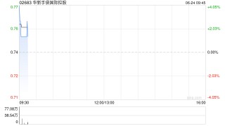 华新手袋国际控股公布年度业绩 股东应占纯利增加约125.5%至约6430万港元