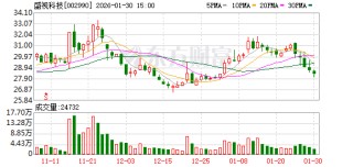 盛视科技：公司2025年业绩变动原因