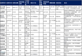 金风科技的“投资帝国”