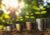 如何了解特定公司相关事件在金融市场的影响？这种影响对投资有何启示？