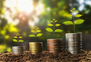 如何了解特定公司相关事件在金融市场的影响？这种影响对投资有何启示？