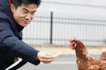 从“三只羊”到“三只鸡”：董宇辉老师，您该卖什么给“丈母娘”？