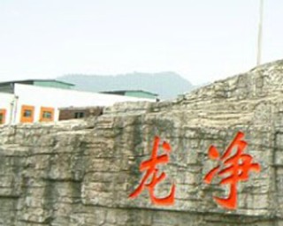 汽车环保标准如何影响使用？