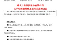 *ST九有，造假者退市！