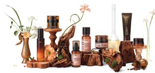 护家科技港股IPO：近六成收入做营销 “单条腿走路”HBN单一品牌运营、97%+营收靠线上渠道