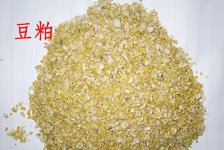 豆粕期权哪些特点？这些特点对市场有怎样的影响？
