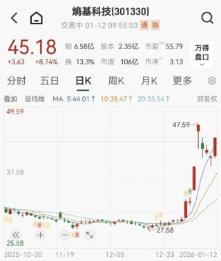 百亿市值脑机接口龙头熵基科技被警示