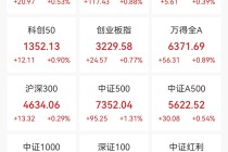 2.51万亿元，再创新高！融资客加速进场，这些龙头成资金宠儿（附名单）