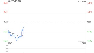 中信期货原油半年报：供应分化 需求承压