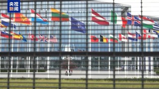 美国防部被曝计划削减多个涉北约机构岗位